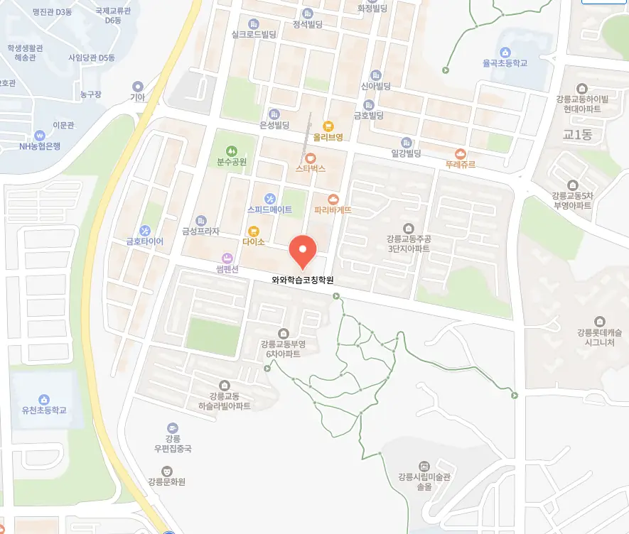 강릉교동 영어학원 위치